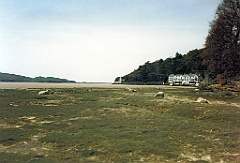 1996 - Grande-Bretagne 59 (Portmeirion - Mai 1996)